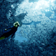 Image for article titled Abzu Is A Rare Game That Helps Players Feel Connected To Nature